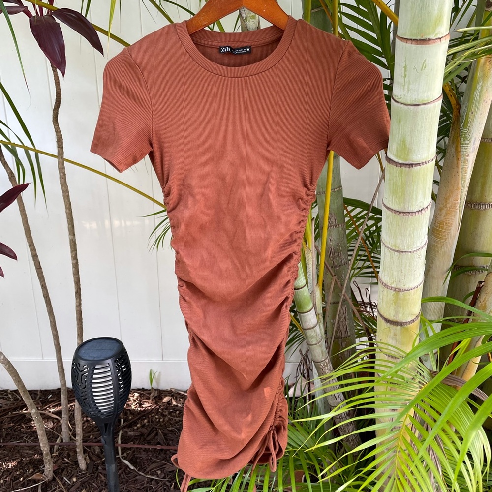 Burnt Orange Zara dress